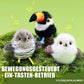 🔥Letzter Tag 49% Rabatt🐾Flappendes Vogel-Katzenspielzeug – USB-aufladbarer und bewegungsaktivierter zwitschernder Vogel