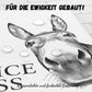 🧻Lustige Wanddekoration fürs Badezimmer - Esel-Bild mit der Aufschrift „Nice Ass“(Schöner Arsch)