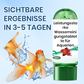 💥Heißer Verkauf 50% Rabatt♻️💧Leistungsstarke Wasserreinigungstablette für Aquarien